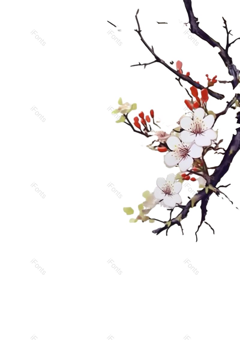 叶子图片,装饰元素,插画PNG,传统文化免抠素材